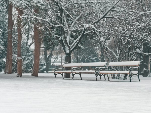 Mieux comprendre le rôle des réunions Weight Watchers