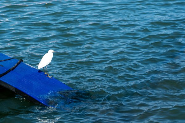 Vous n'arrivez pas à tomber enceinte ? Voici les symptômes courants de l'infertilité